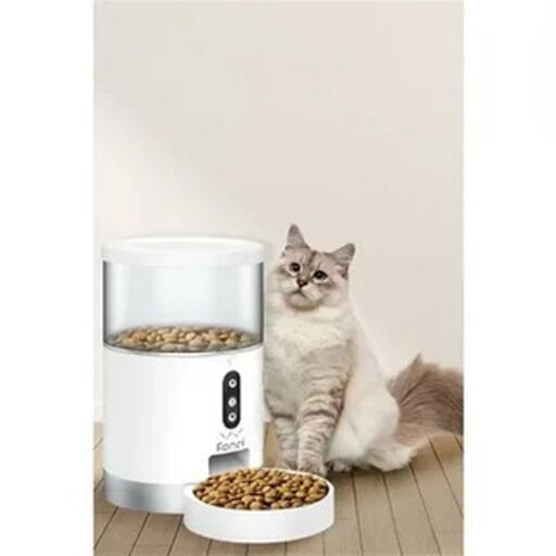 Kedi & Köpek Mama Kabı