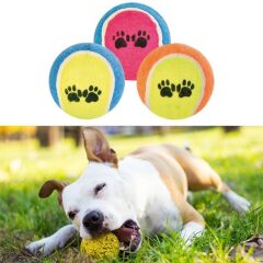 3&apos;lü Renkli Desenli Tenis Topu Kedi Köpek Oyuncağı (4944)