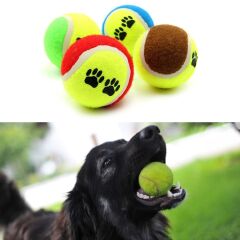 3&apos;lü Renkli Desenli Tenis Topu Kedi Köpek Oyuncağı (4944)