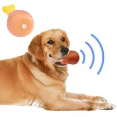 Köpekler İçin Oyuncak Tavuk Budu (4944)