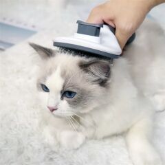 Kedi Köpek Tüy Toplayıcı Kendini Temizleyebilen Ergonomik Rahat Evcil Hayvan Tarağı Gri (4944)