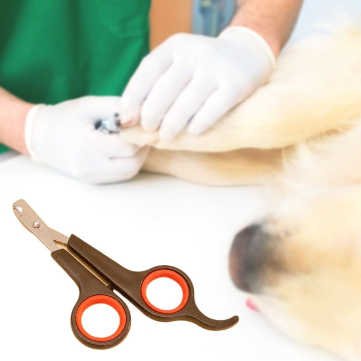 Küçük Çelik Uçlu Kedi Köpek Evcil Hayvan Tırnak Makası Pati Bakım Aleti Ergonomik Kaymaz Sap (4944)
