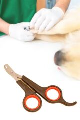 Küçük Çelik Uçlu Kedi Köpek Evcil Hayvan Tırnak Makası Pati Bakım Aleti Ergonomik Kaymaz Sap (4944)