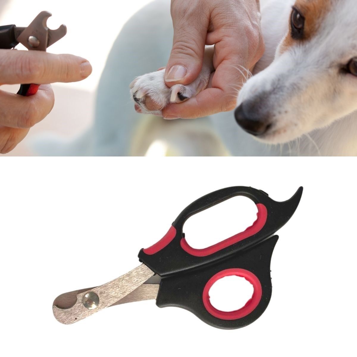 Büyük Irk Köpek Kedi Çelik Uçlu Evcil Hayvan Tırnak Makası Pati Bakım Aleti Ergonomik Kaymaz (4944)