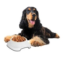 Silikon Kaydırmaz Taban Plastik Kedi ve Köpek Mama ve Su Kabı 2 L (4944)