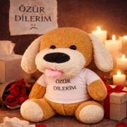 Özür Dilerim Tişörtlü Peluş Oyuncak Köpek