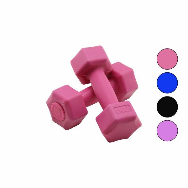 1KG PLASTİK KÖŞELİ DAMBIL 2 PARÇA HERHANGİ BİR RENK GÖNDERİLİR (4944)