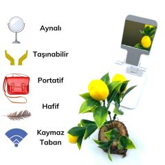 Siyah Aynalı Cep Telefonu Sabitleyici Stand Katlanabilir Ayarlanabilir Telefon Standı (4944)