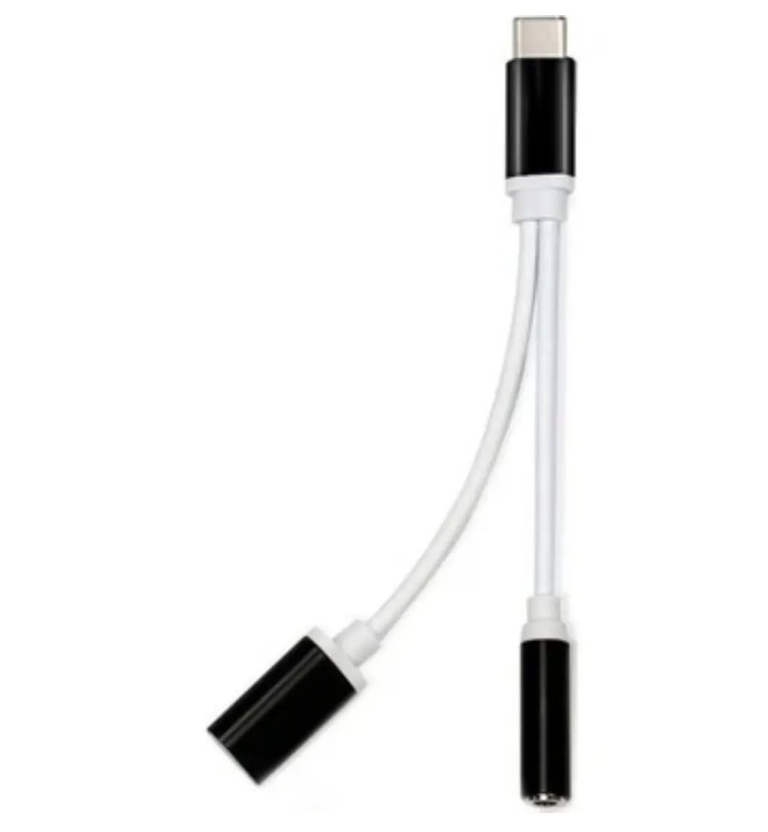 ZR310 Ft Ac 20 Type-C 2 İn 1 Çevirici