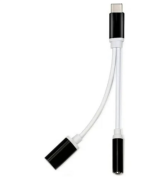 ZR310 Ft Ac 20 Type-C 2 İn 1 Çevirici