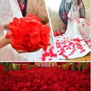 Kırmızı Renk Gül Yaprağı Şekilli Konfeti – 1 Paket 100 Adet