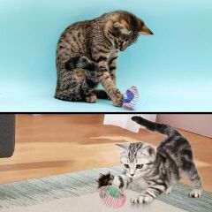 Yaylı Metal Fareli Kafes Kedi Oyun Topu Sıçrayan Spiral Kedi Topu (4944)