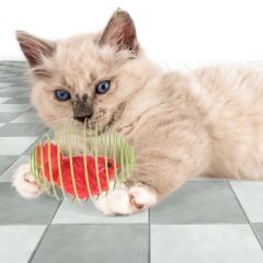Yaylı Metal Fareli Kafes Kedi Oyun Topu Sıçrayan Spiral Kedi Topu (4944)