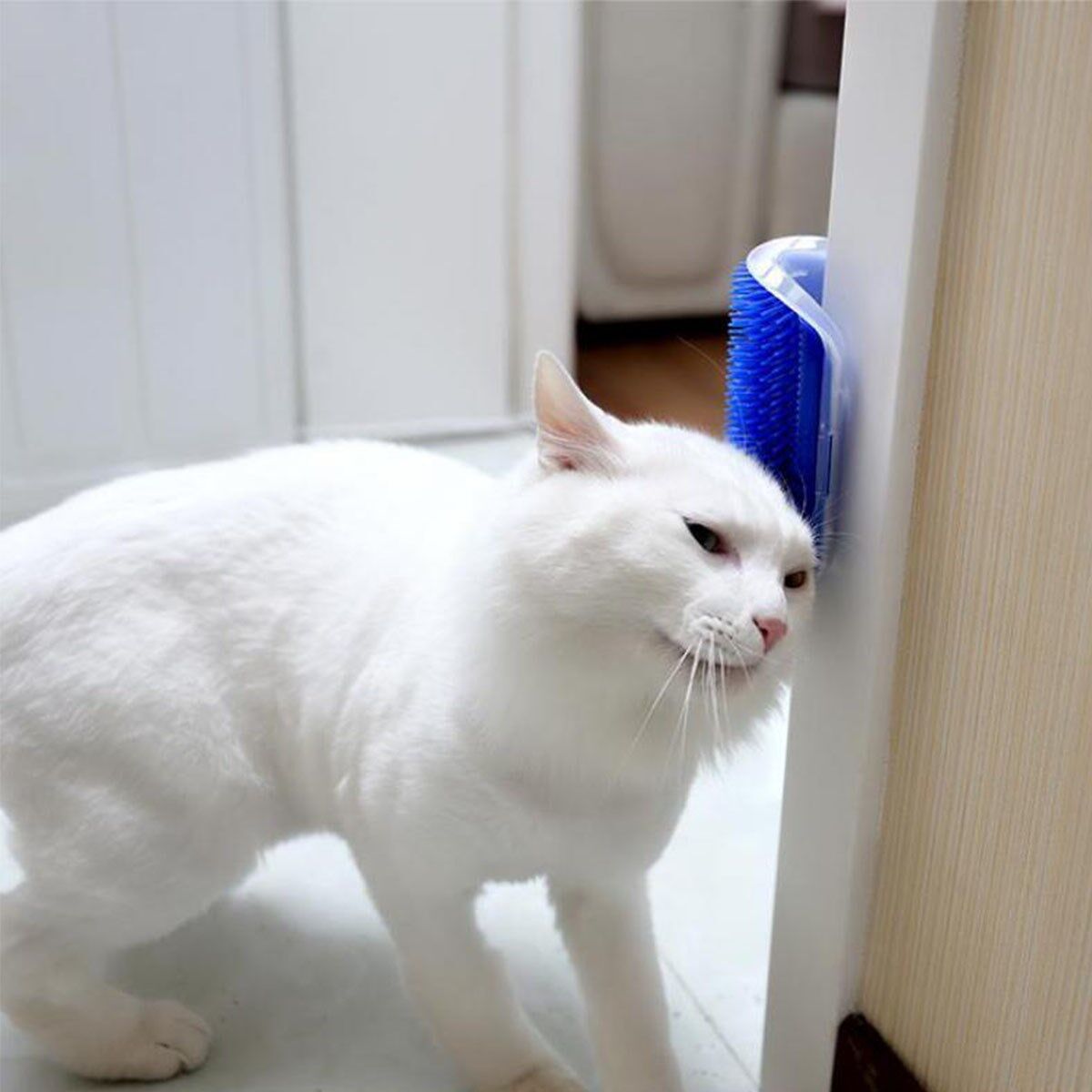 Pratik Kedi Tüyü Kaşıma Ve Tarama Aparatı Duvara Monte Kaşıma Aleti (4944)