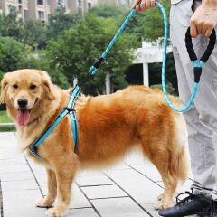 Reflektörlü Fosforlu Köpek Gezdirme Halatı Tasma Kayışı Metal Kancalı 130 cm (4944)