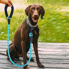 Reflektörlü Fosforlu Köpek Gezdirme Halatı Tasma Kayışı Metal Kancalı 130 cm (4944)