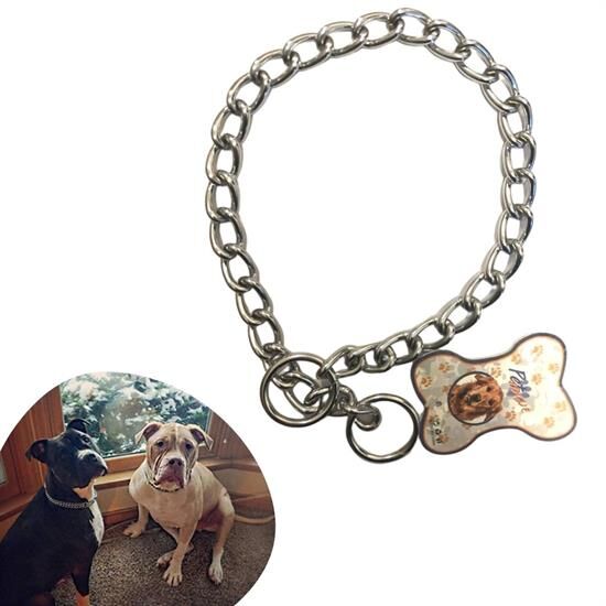 65 cm Uzunlukta Zincir Model Köpek İçin Boyun Tasması (4944)