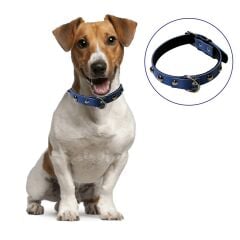 Yumuşak Dokulu Deri Köpek Gezdirme Boyun Tasması (Large) (4944)
