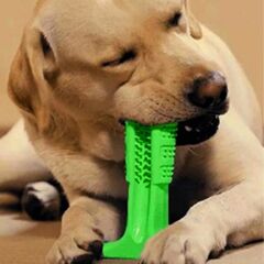 Köpek Diş Temizleyici ve Kaşıyıcı Sağlıklı Küçük Boy Oyuncak (4944)