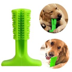 Köpek Diş Temizleyici ve Kaşıyıcı Sağlıklı Küçük Boy Oyuncak (4944)